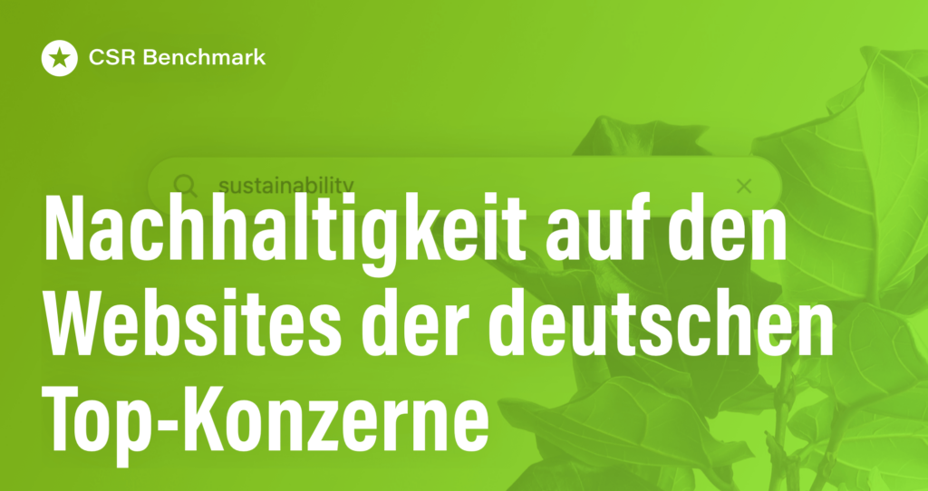 Blogpost: Nachhaltigkeit auf den Websites der deutschen Top-Konzerne