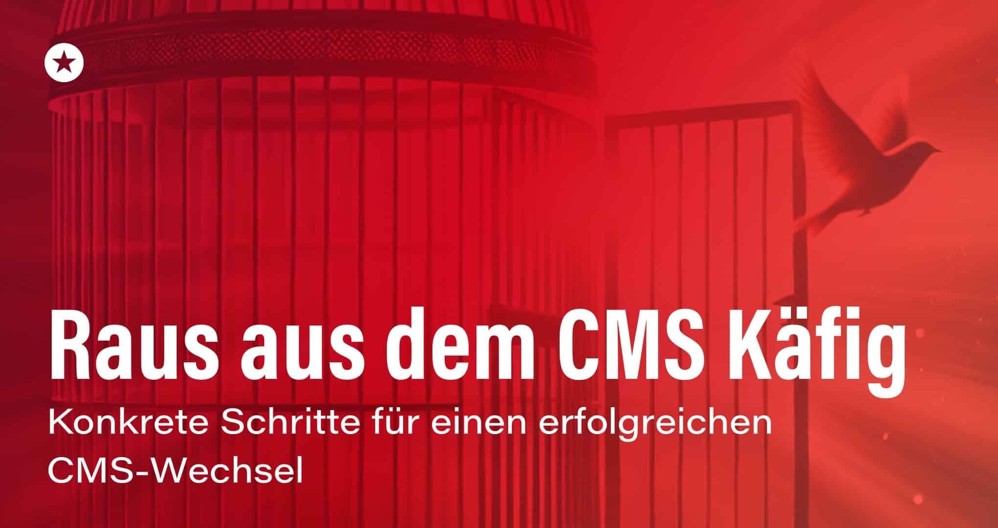 Der Weg in die digitale Freiheit: Konkrete Schritte für Ihren CMS-Wechsel Beitrag: Der Weg in die digitale Freiheit: Konkrete Schritte für Ihren CMS-Wechsel
