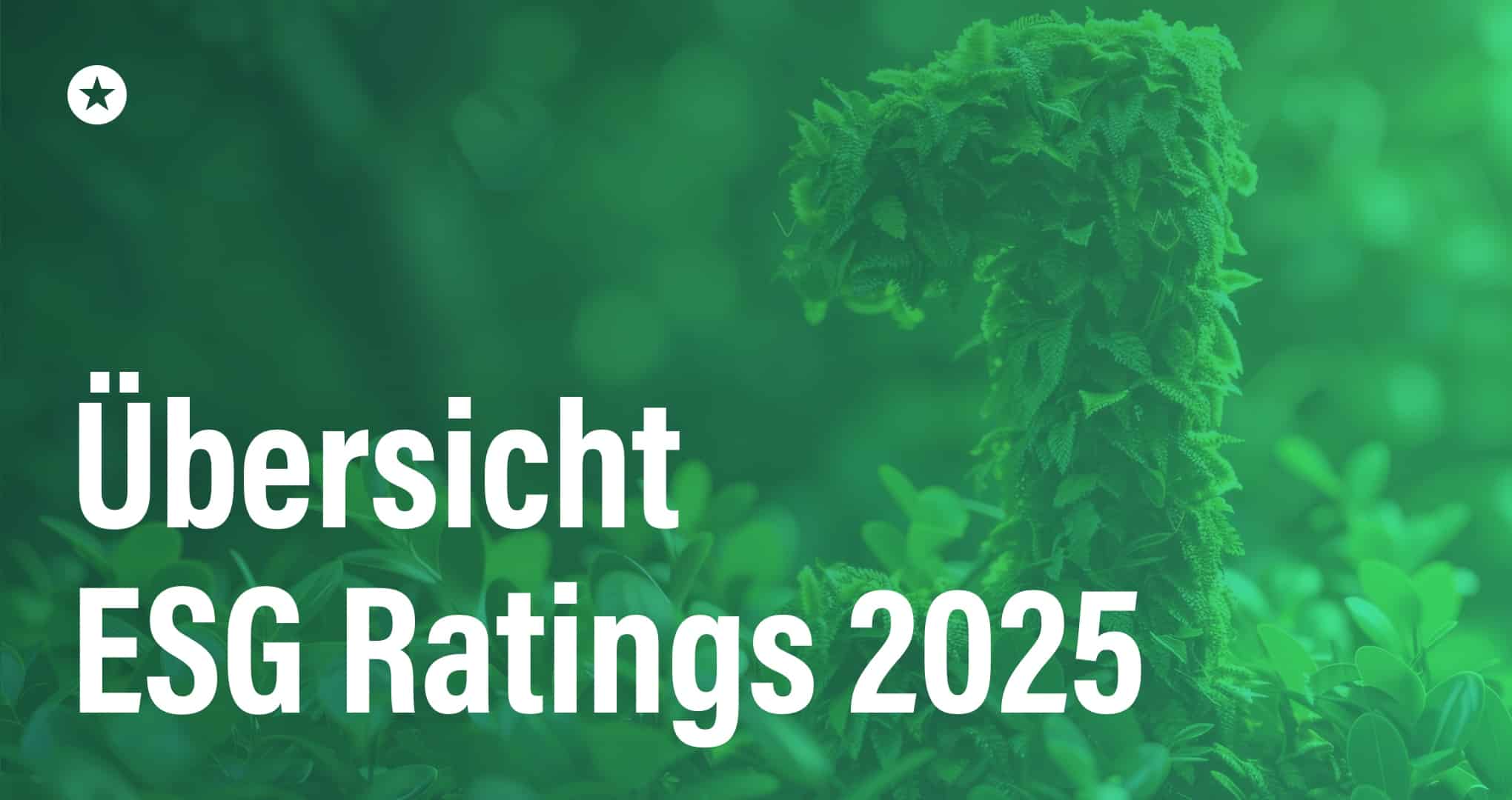 Übersicht ESG Ratings 2025 Beitrag: Übersicht ESG Ratings 2025