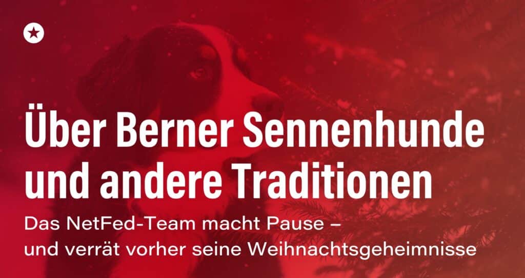 Blogpost: Was ein Berner Sennenhund mit unserem Weihnachtsurlaub zu tun hat  (Spoiler: viel!)