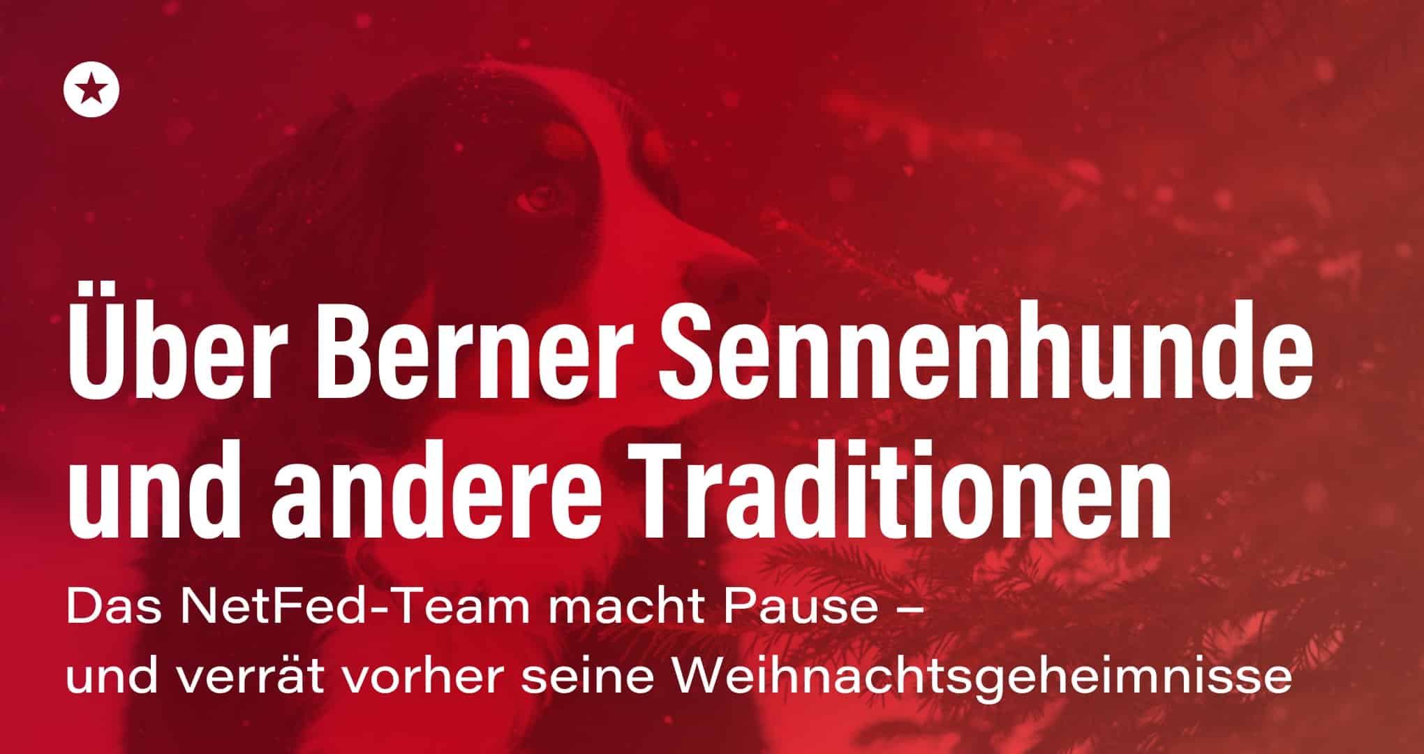 Beitrag: Was ein Berner Sennenhund mit unserem Weihnachtsurlaub zu tun hat  (Spoiler: viel!)